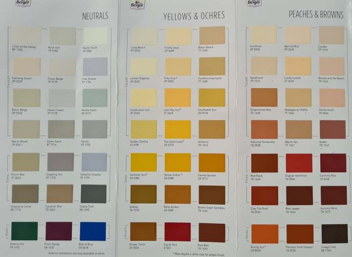 Walmasta%20Exterior%20Wall%20Paint%20-%20Image%202