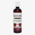 Onion Black Seed Oil Shampoo 500Ml. 