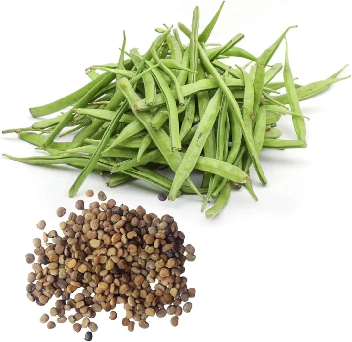 Vegetable%20Seed%20-%201%20Packet%20Cluster%20Beans%20Agri%20Gwar%20Phali%20Seeds%20By%20Savyata%20Stores%20For%20Kitchen%20Garden%20-%20Image%203