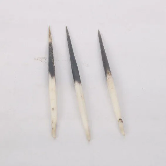 Dumsiko%20Kada%203%20Pcs%20Set%20%7C%20Dumsi's%20Thorn%20%7C%20for%20Bratabandha%20%7C%20Puja%20Saman%20-%20Image%206