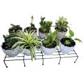 Salcko Set of 2 Pieces black  Rust-Resistant 36-Inch Metal Plant Stands - Ideal for Indoor and Outdoor Use, Combining Durability with Elegant Design. 