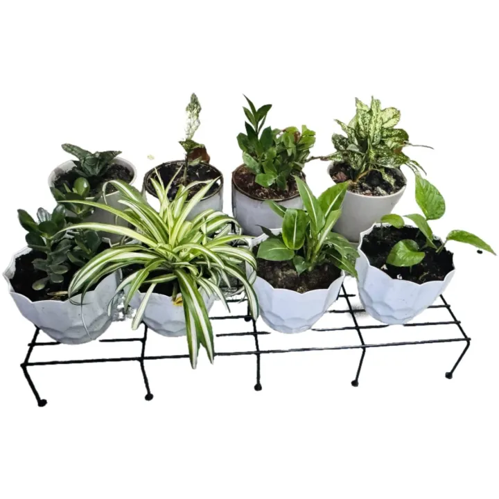 Salcko%20Set%20of%202%20Pieces%20black%20%20Rust-Resistant%2036-Inch%20Metal%20Plant%20Stands%20-%20Ideal%20for%20Indoor%20and%20Outdoor%20Use,%20Combining%20Durability%20with%20Elegant%20Design%20-%20Image%203