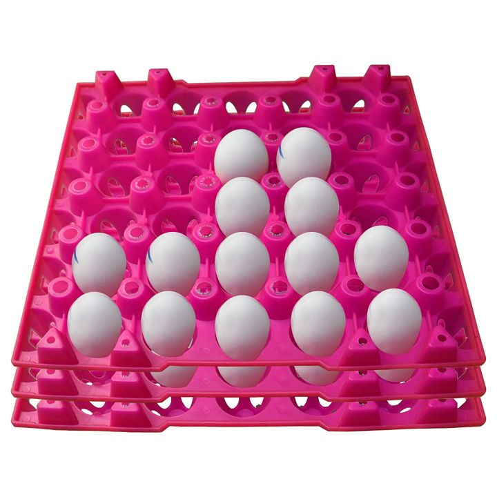 30 Grid Kitchen Plastic Egg Storage Trays Eggs Organizer Tray 30 ...