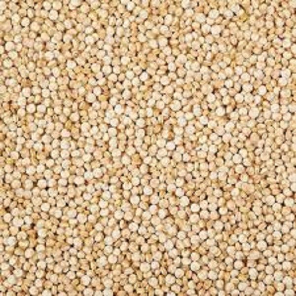 quiona%20seeds%201000gm%20fiber%20reach%20prooducts%20-%20Image%204