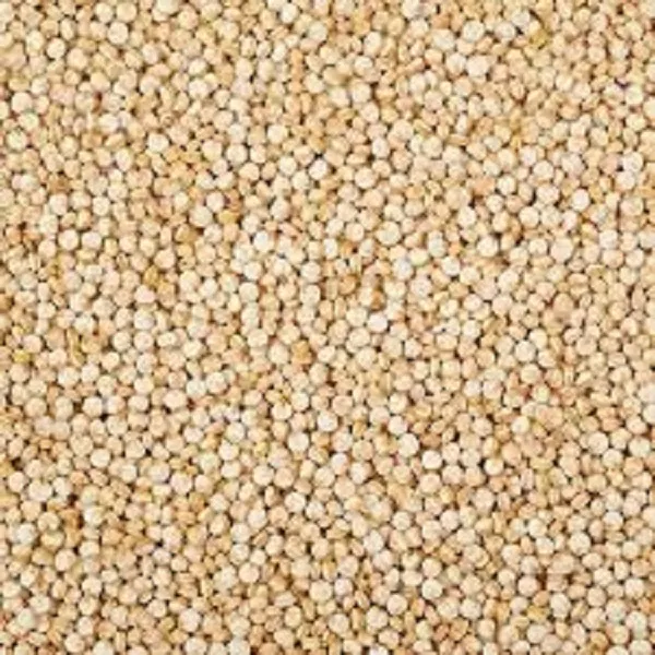 quiona%20seeds%201000gm%20fiber%20reach%20prooducts%20-%20Image%204