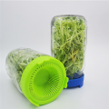 ARELENE 6PCS Sprouting Kit Sprout Jars Lids Mesh Lids for Wide Mouth Jars Indoor Microgreens Plants Growing Screen,A. 