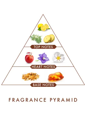 Wild%20Stone%20Code%20Copper%20Body%20Spray%20For%20Men%20120ml%20-%20Image%202