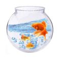10 Inch Glass Pot Bowl Aquarium By Crown Aquatics. 