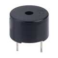 Buzzer 5-12V (1 x 0.8 inch) Large Size. 
