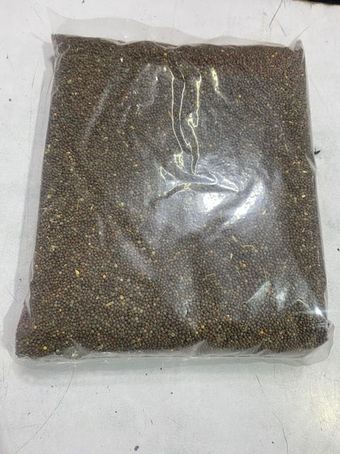 Mustard Seed 1 Kg Tori