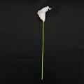 Calla Lily 20 head Latex Real Touch KC51 White. 
