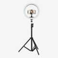 26cm Ring Light With 7feet Tripod And Mobile Holder Best For Videos Shooting And Tiktok. 