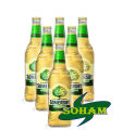 Somersby Apple Cider 250 ml -12 pcs. 
