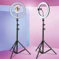 Ring Light With 7 Feet Stand and Mobile Holder TikTok Light ( 26cm ). 