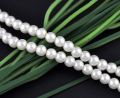 White Pearl Beads -8mm (100 Grams). 