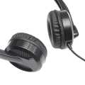 Rapoo Wired Headset H100. 