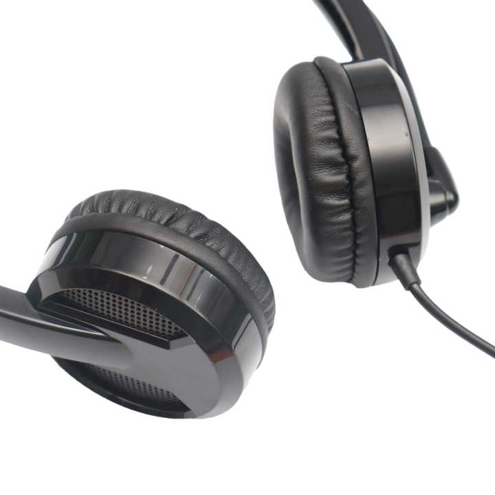 Rapoo%20Wired%20Headset%20H100%20-%20Image%204