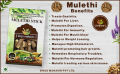Dried Mulethi Sticks ( Sweet Wood or Licorice) 100gm. 