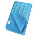 Comfortable Ice Silk Pet Cooling Mat Water Absorption Car Cat Sleeping Pad Keep Cooling Safe Material Dog Bed Summer. 