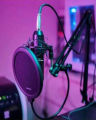 Professional Studio Condenser Microphone Sound Recording Dynamic + Mic Shock Moun. 