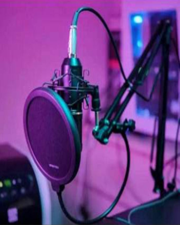 Professional%20Studio%20Condenser%20Microphone%20Sound%20Recording%20Dynamic%20+%20Mic%20Shock%20Moun%20-%20Image%205