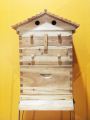 Flow Bee Hive – Automatic Honey Harvesting Beehive with Flow Frames | Beekeeping Made Easy. 