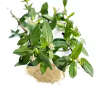 भृङ्गराज पाउडर