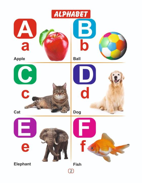 My%20First%20Board%20Book%20Of%20All%20In%20One%20With%20Nepali%20Varnamala%20(Pre-School%20ABC%20Board%20Book%20For%20Kids%20-%20With%20Nepali%20Varnamala)%20Educational%20Book%20For%20Children%20-%20Image%202
