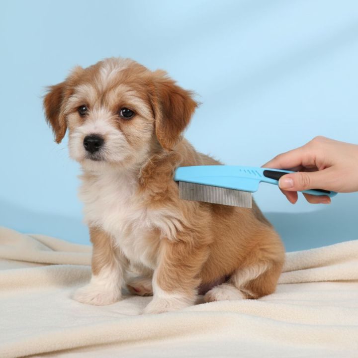 Dog / Cat Flea Comb Accessory