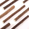 15Pcs Natural Silvervine Sticks for Matatabi Chew Sticks Teeth Molar Chew Toys for Cat Teeth Cleaning. 