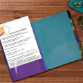 24 Clear Pocket Expanding File Folder 12 Colored Tabs,Holds 300 Sheets, File Organizer,Numbered Index on Cover 2PC. 