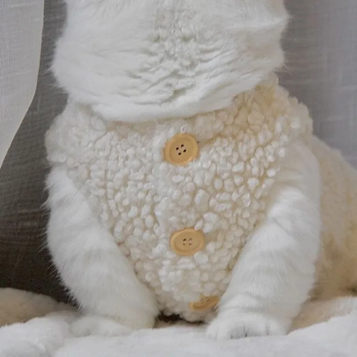 Fashion%20Soft%20Cozy%20Cat%20Clothes%20Fleece%20Winter%20Warm%20Sweatshirt%20Costume%20Sweater%20Pet%20Cat%20-%20Image%207