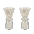 Ssjmnepal Decor 6 Inch Plastic Lollipop Sticks for Cakesicle Popsicle and Candy (100pcs). 