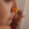 Gold Plated Nose Pin Limbu Fuli Hook Clip Mounting Type for Women. 