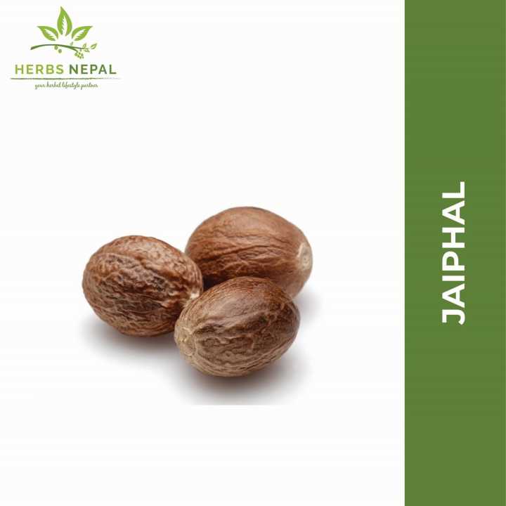 Jaiphal (Nutmeg) 200 gms / Herbs Nepal