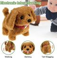 Toy Dogs for 1-6 Year Old Boys Girls Walking Dog Toys for Kid  Birthday Gift (multicolor). 