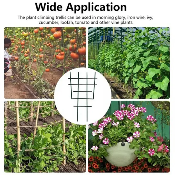 Plastic%20Plant%20Support%20for%20Garden%20Climbing%20Flower%20Fixed%20Plant%20Growth%20Direction%20Style%205%20-%20Image%205