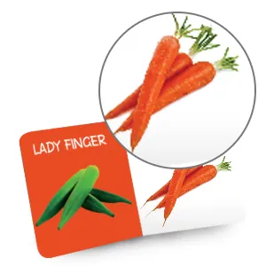 My%20First%20Little%20Librarian%20:%20One%20Nepali%20Varnamala%20Plus%2010%20Board%20Book%20for%20Kids%20Age:%200%20to%203%20(Preschool%20/%20Toddler)%20%20My%20First%20Library%20of%20Learning%20Library%20.%20-%20Image%203