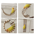 Training Perch Toy Portable Parrot Ladder Toy with Metal Hooks for Small Medium Parrots. 