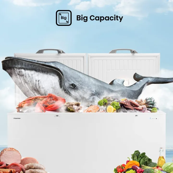 Hisense%20510%20Liter%20Double%20Door%20Chest%20Freezer%20FC66DD4SA_%20White%20-%20Image%203