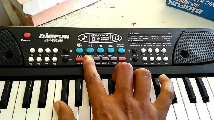 Big%20Fun%20Electronic%20Keyboard%20Bf-430a1%20Piano%20-%20Image%204