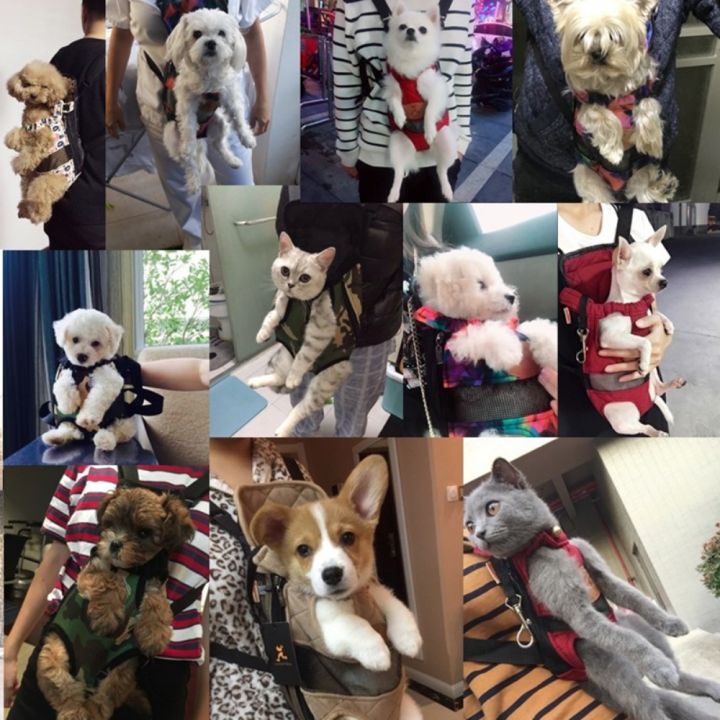 Outdoor%20Portable%20for%20Hiking%20Travel%20Hands-Free%20Comfortable%20Foldable%20Puppy%20Carring%20Bags%20Dog%20Carrier%20Backpack%20Pet%20Double%20Shoulder%20Bag%20Cat%20Travel%20Bag%20-%20Image%206