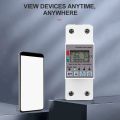ARELENE 2X Tuya 63A 110V 220V WiFi Energy Meter Kwh Metering Switch Timing Function with Voltage Current and Leakage Protection. 