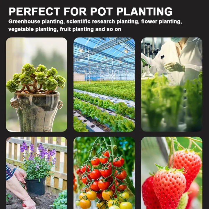 6in1%20Soil%20Tester%20Multifunctional%20Soil%20Fertility%20pH%20Temperature%20Humidity%20Sunlight%20Air%20Moisture%20Tester%20Practical%20Soli%20Analyzer%20Versatile%20Gardening%20Tool%20for%20Potted%20Plant%20Flower%20Growth%20-%20Image%202