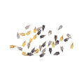 12Pcs Track Field Needle Silver/Gold/Black Camping Running Shoe Spikes Track Field Needle Outdoor Tools Replacements Parts. 