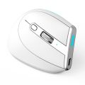 ZELOTES F-36 Wireless Vertical 2.4G Bluetooth Mouse Full. 