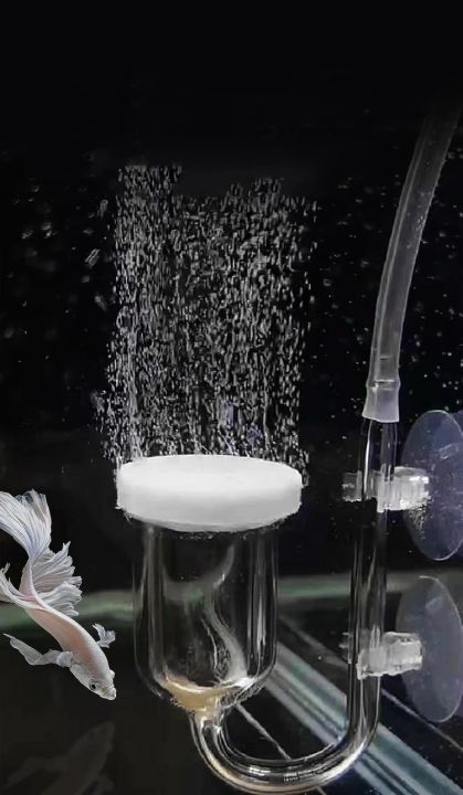 Air%20Refiner%20Fish%20Tank%20Aquarium%20Grass%20Shrimp%20Connected%20To%20Oxygen%20Pump%20with%20Oxygen%20Air%20Refiner%20Nano%20Low-pressure%20Air%20Bubbles%20-%20Image%208