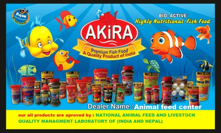 Akira%20Blood%20Parrot%20100gm(8pieces)%20each%20100gm%20from%20animal%20feed%20center%20-%20Image%205