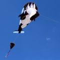 Huge Frameless 3D oft Wing Giant Whale Kite. 