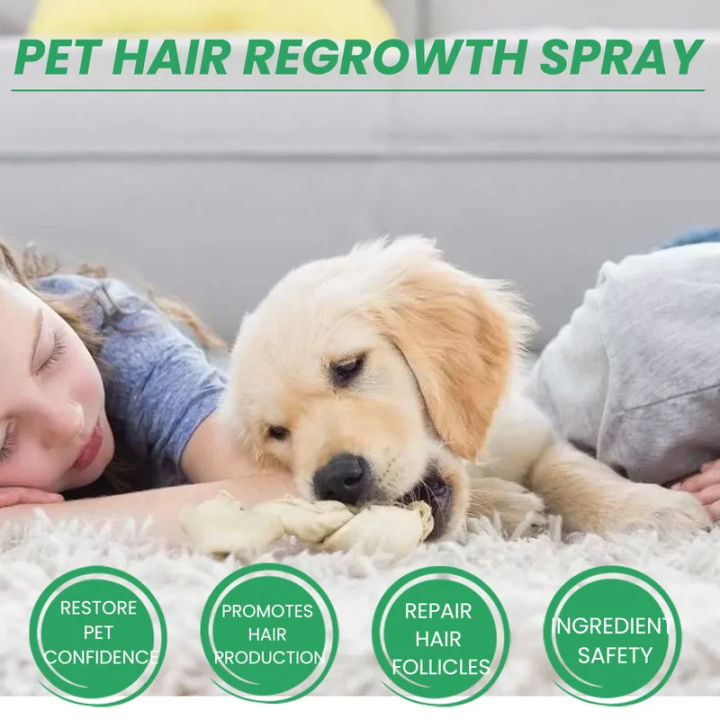 ZEBF-Pet%20Hair%20Enhancer,%20Cat%20and%20Dog%20Hair%20Conditioning%20Repair%20Damaged%20Hair%20Follicle%20Hair%20Loss%20Hair%20Care%20Spray%20-%20Image%204